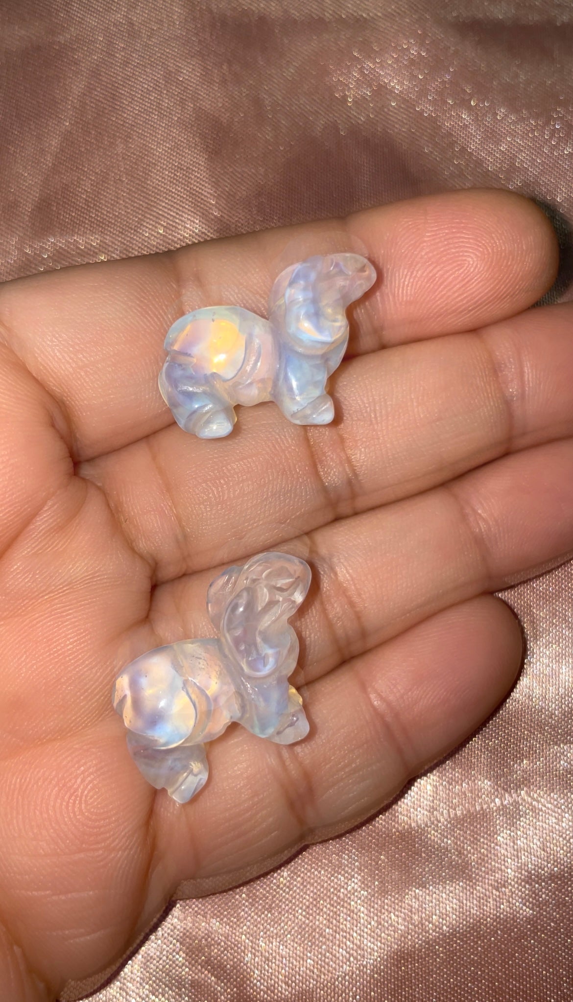 Mini Opalite rams