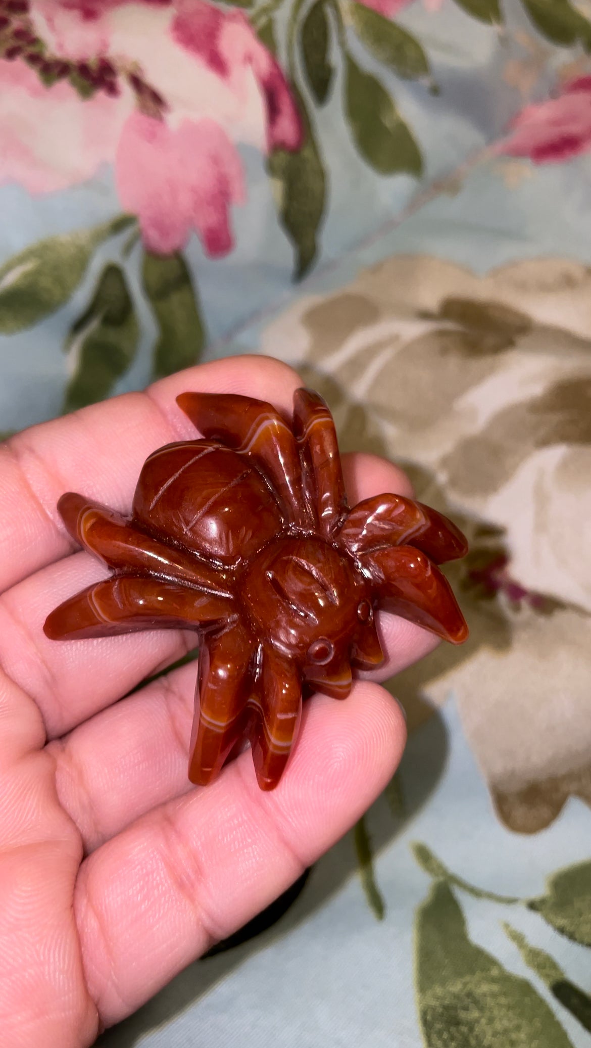 Carnelian spiders
