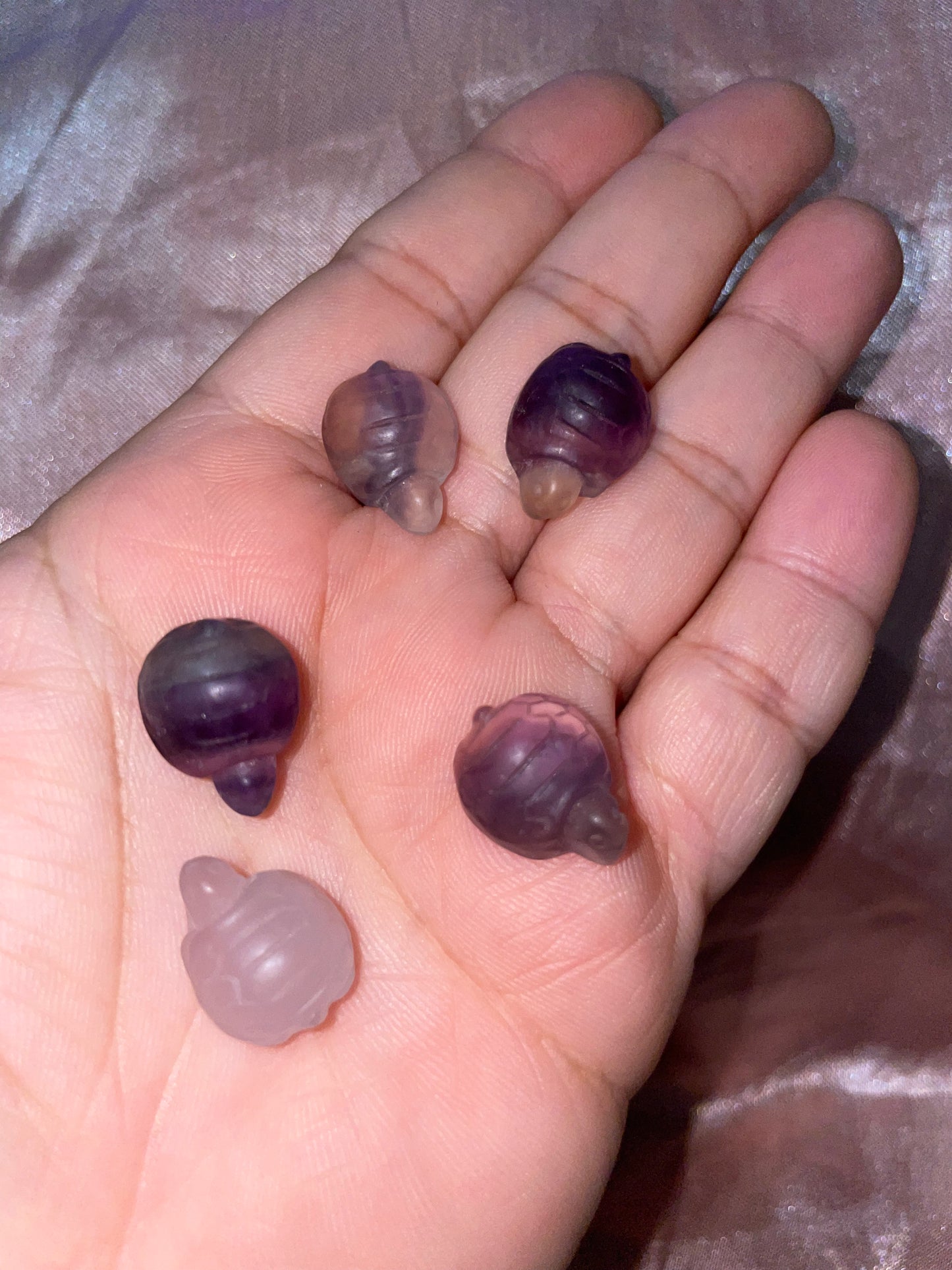 Mini fluorite turtle 🐢