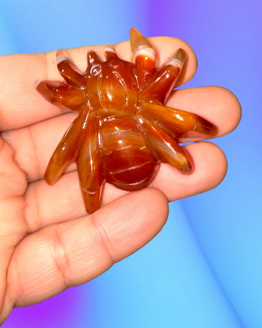 Carnelian spiders