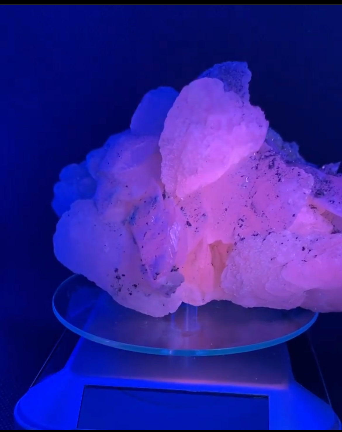 Gorgeous Mangano calcite & galena specimen