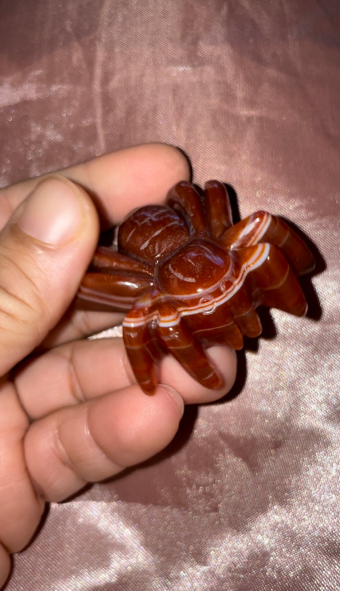 Carnelian spiders