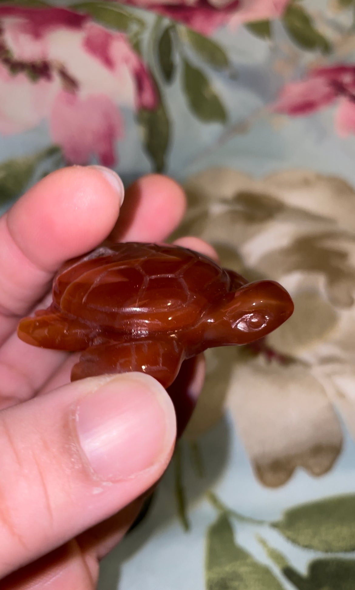 Carnelian sea turtles