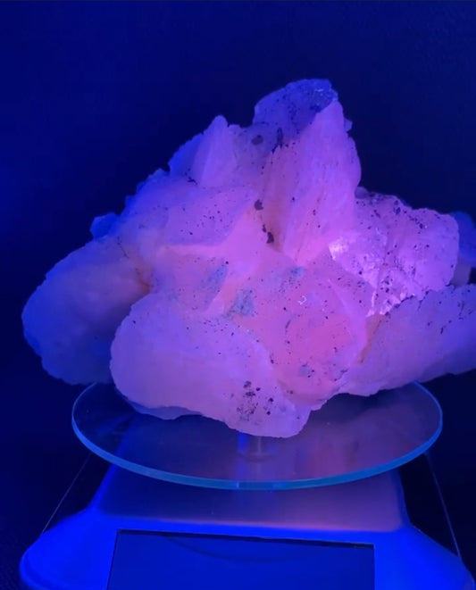 Gorgeous Mangano calcite & galena specimen