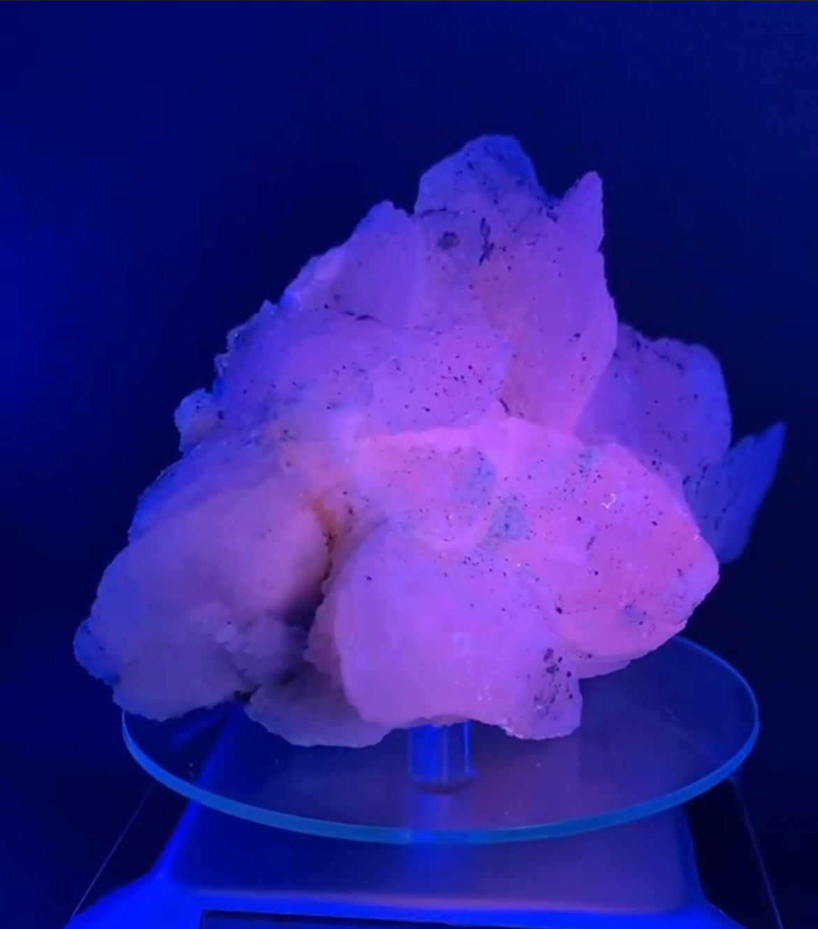 Gorgeous Mangano calcite & galena specimen