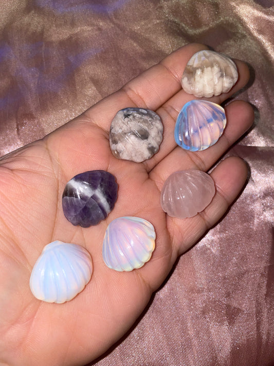 Mini clamshells carvings