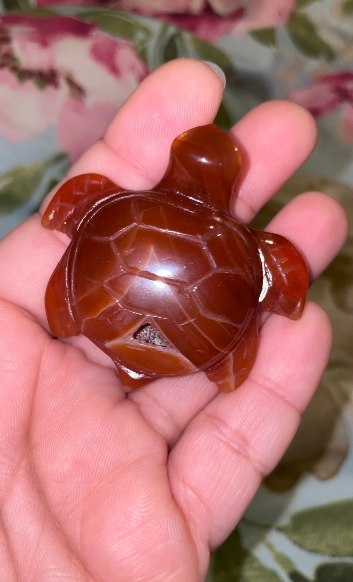 Carnelian sea turtles