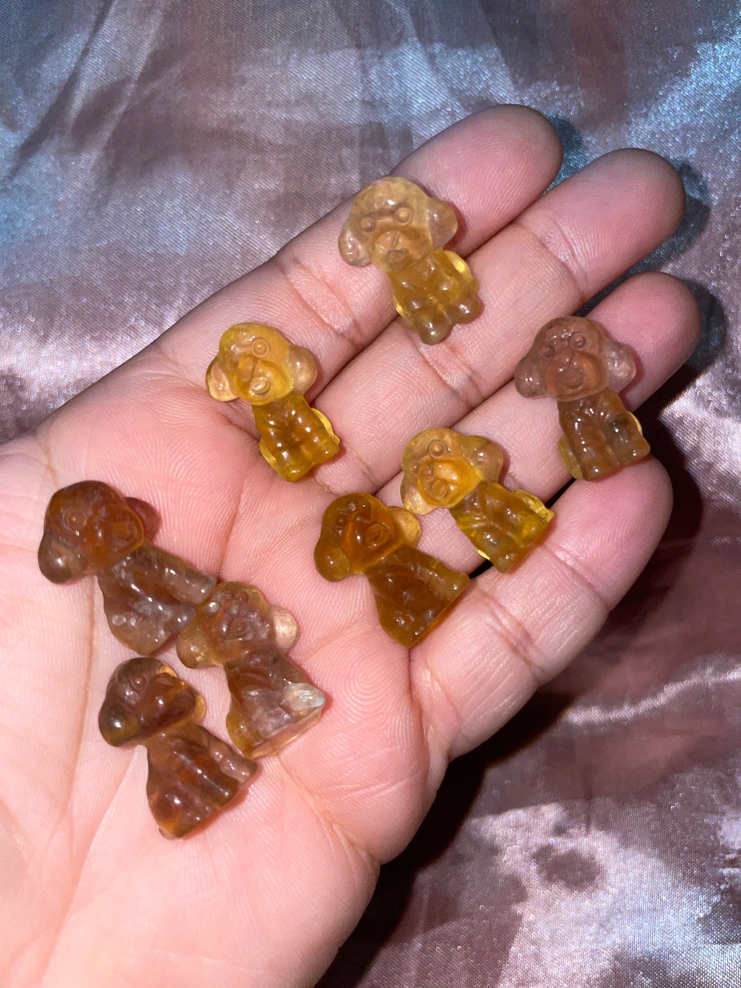 Mini fluorite poodle dog