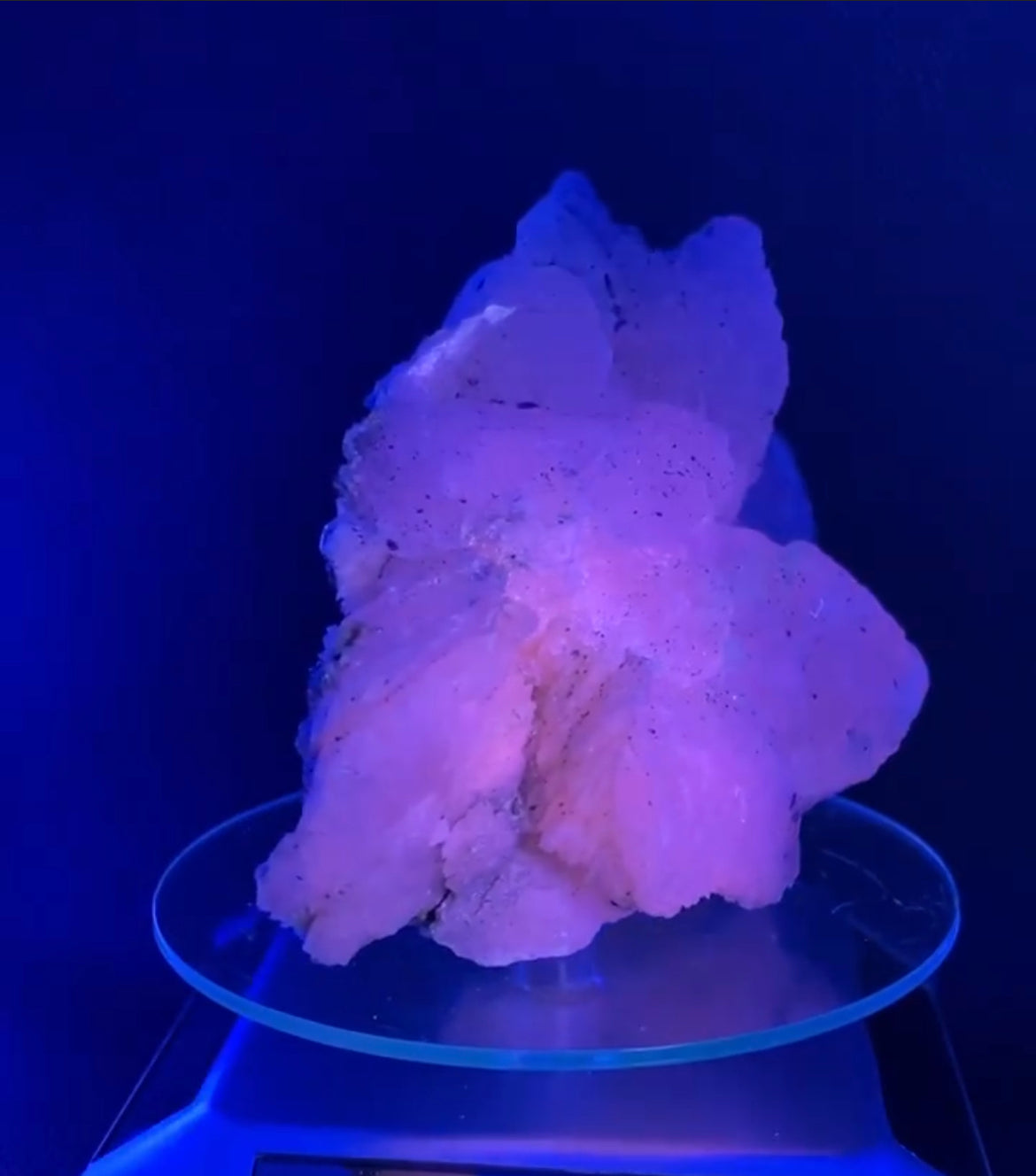 Gorgeous Mangano calcite & galena specimen