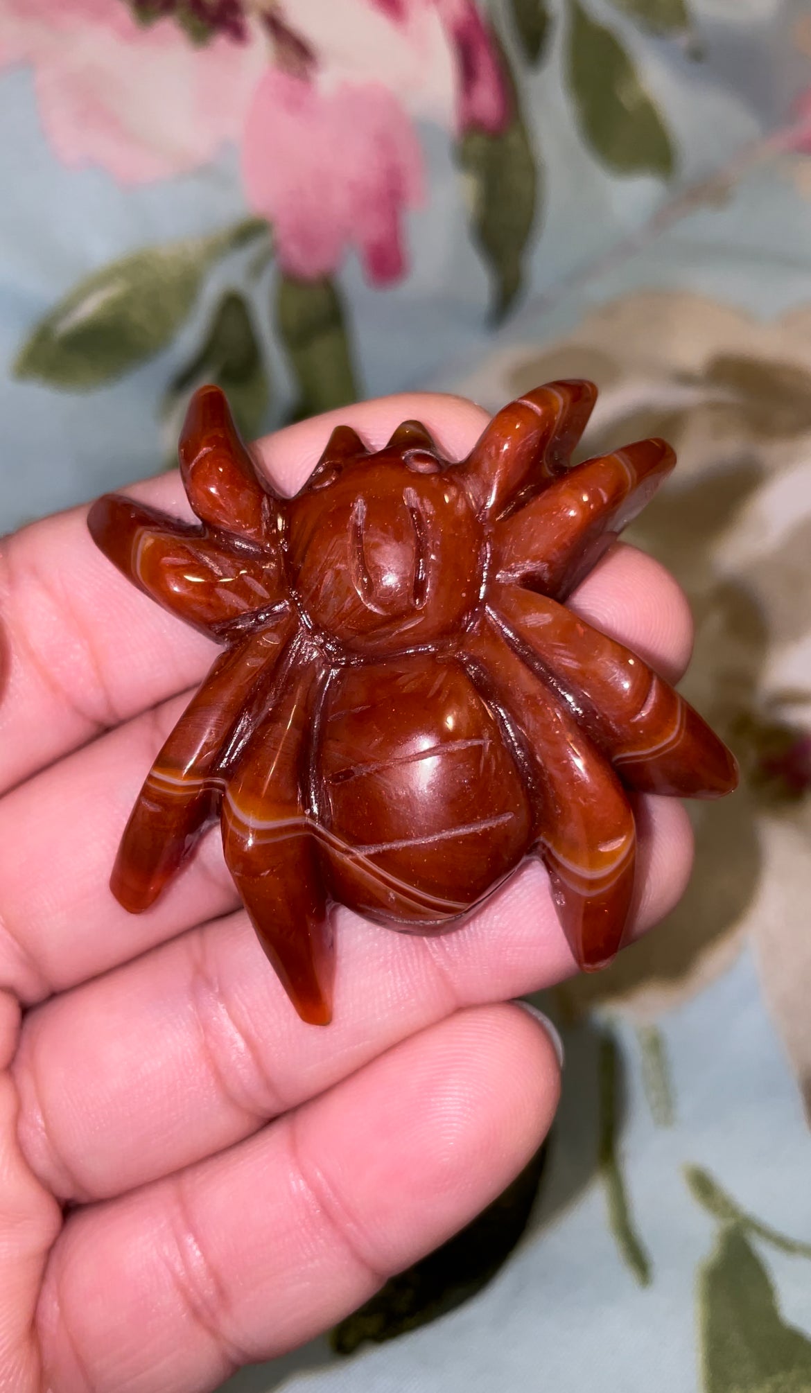Carnelian spiders