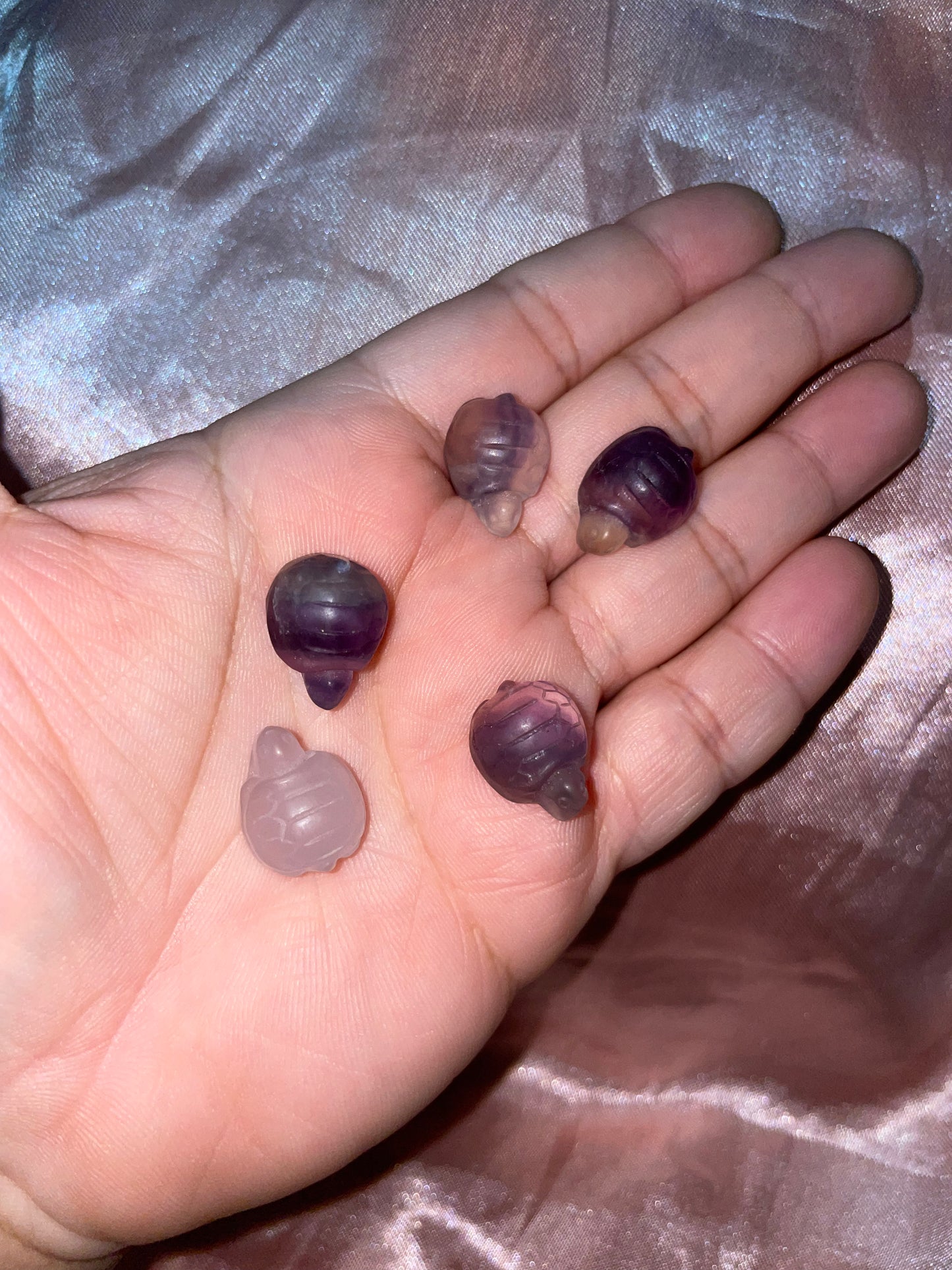 Mini fluorite turtle 🐢