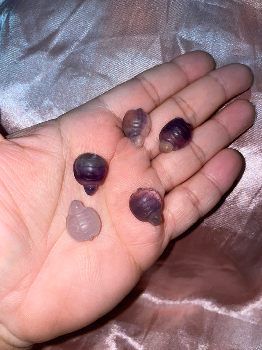 Mini fluorite turtle 🐢